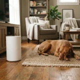A dog resting on a rug near a running air purifier in a warm family living room