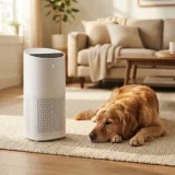asset_225d37f3903281b9 Winix C545 air purifier on a living room floor beside a golden retriever resting on a rug