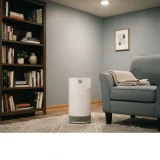 asset_2c9e28496b2cb0d8 A simple Winix air purifier running in a quiet basement recreation room