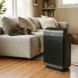Cat resting on a sofa near the Winix 5500-2 air purifier in a living room