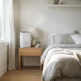 Morning sunlight in a bedroom revealing floating dust and pollen motes beside a running Winix C610 air purifier