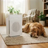 asset_47d4f57b0f605f95 Winix C545 air purifier on a living room floor near a dog resting on a rug