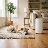 asset_7e376e92b60aba1c A dog resting on a rug near an air purifier in a bright living room with soft daylight