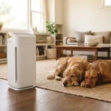asset_7f9992d8f75a4601 Winix C610 air purifier in a living room with two dogs resting calmly on a rug nearby