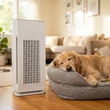 Winix AM90 air purifier running beside a dog bed on a rug in a sunlit living room
