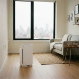 asset_d390139cdc62440f Winix C545 air purifier in a compact apartment living space with a large window and city view
