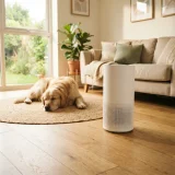 Air purifier running near a dog on a rug in a bright family living room