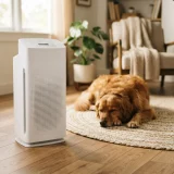 asset_f80f5ed1f4e5bde7 Winix C610 air purifier on the floor beside a dog resting on a rug in a living room